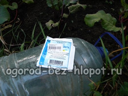 Корневая подкормка свекольной грядки борной кислотой