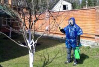 обработка сада