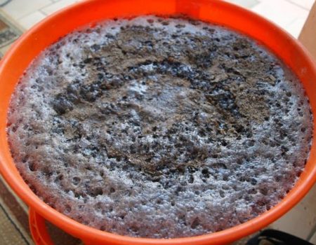 Подкормка из травы и дрожжей для томатов