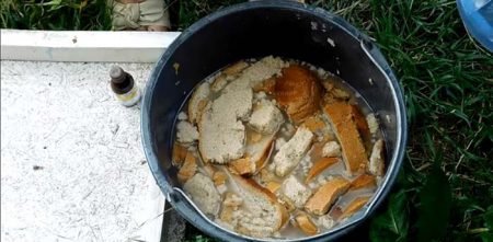 Хлебные корки для подкормки томатов