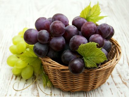 vinograd