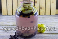 компот из яблок и черноплодной рябины