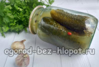 квашеные огурцы в банках