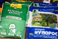 Препараты от болезней винограда