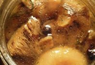 Рыжики маринованные