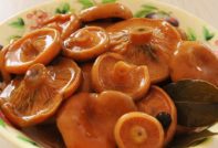 Рыжики засоленные
