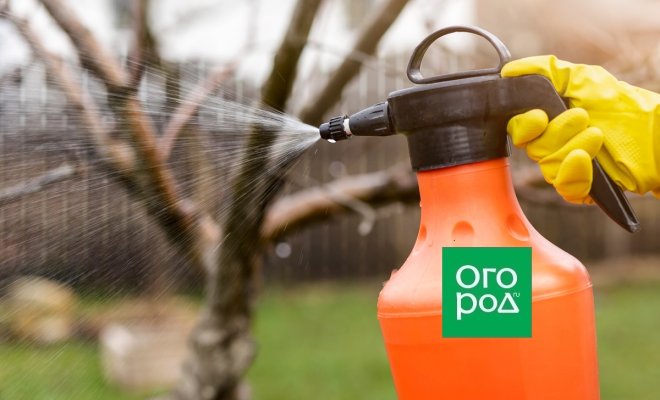 Искореняющая обработка мочевиной – за и против