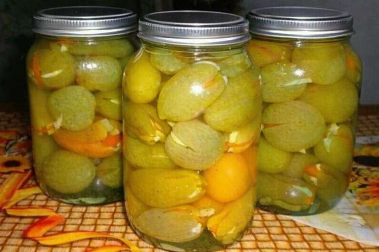 Маринованные зеленые помидоры