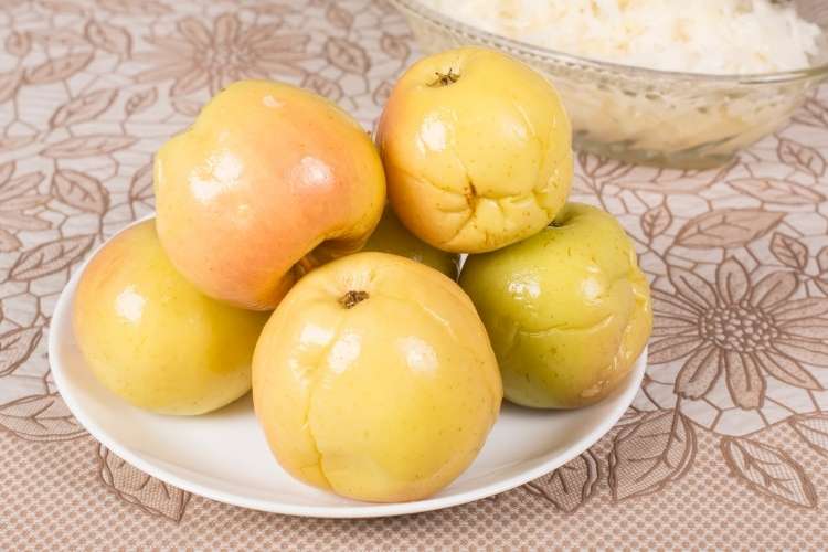 Моченые яблоки с капустой